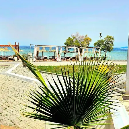 Sun Sea No 7 First Line *